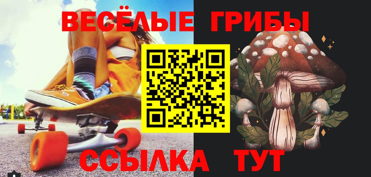 Канск  Галлюциногенные грибы Cubensis  Галлюциногенные грибы мухоморы  Вход с VPN 
