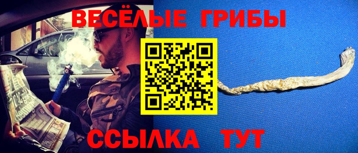 Галлюциногенные грибы GOLDEN TEACHER Канск